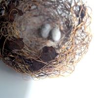 nicola-coe-detail-of-wire-chaffinch-nest
