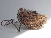 nicola-coe-wire-chaffinch-nest