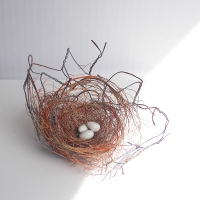 nicola-coe-wire-whitethroat-nest